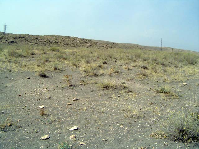 Goravan Sands Habitat